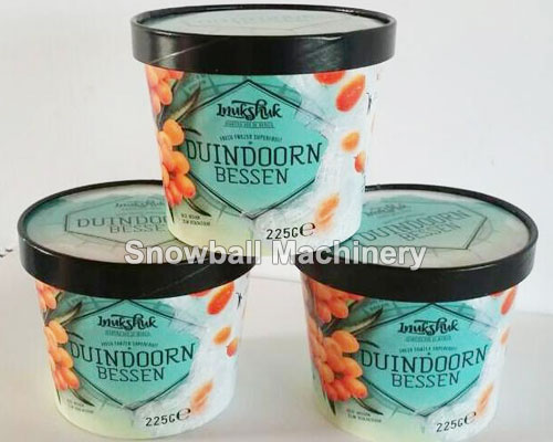 ice cream cup