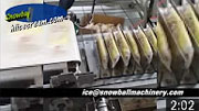 ice cream packing machine video