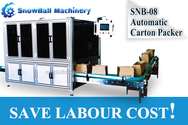SNB-08 Automatic Carton Packer help you save labor cost, Snowball Machinery