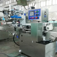 ice cream packaging machine