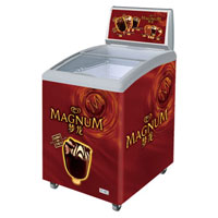 commercial showcase freezer 