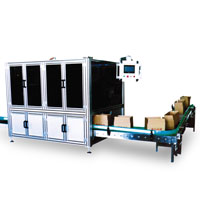 SNB-08 Ice Cream Carton Packer, Ice Cream Packing Machine